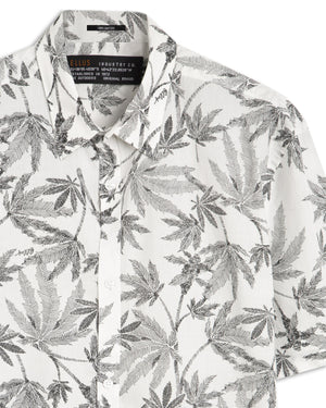 Camisa Tricoline Draw Surf French