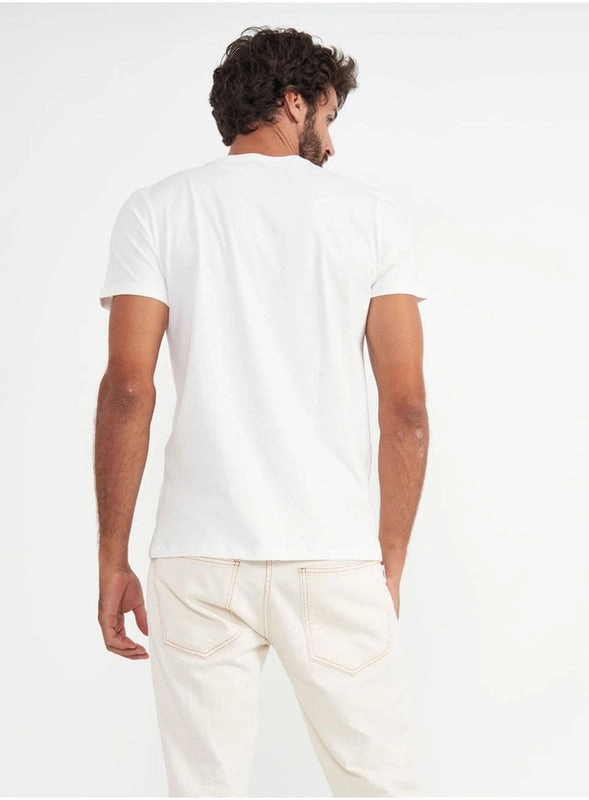 Camiseta Manga Curta Estampada Colcci