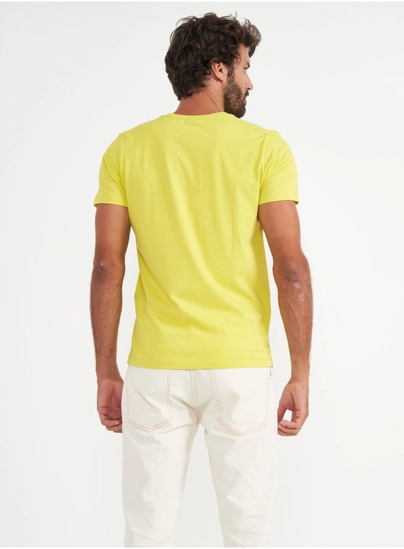 Camiseta Manga Curta Paradise Colcci