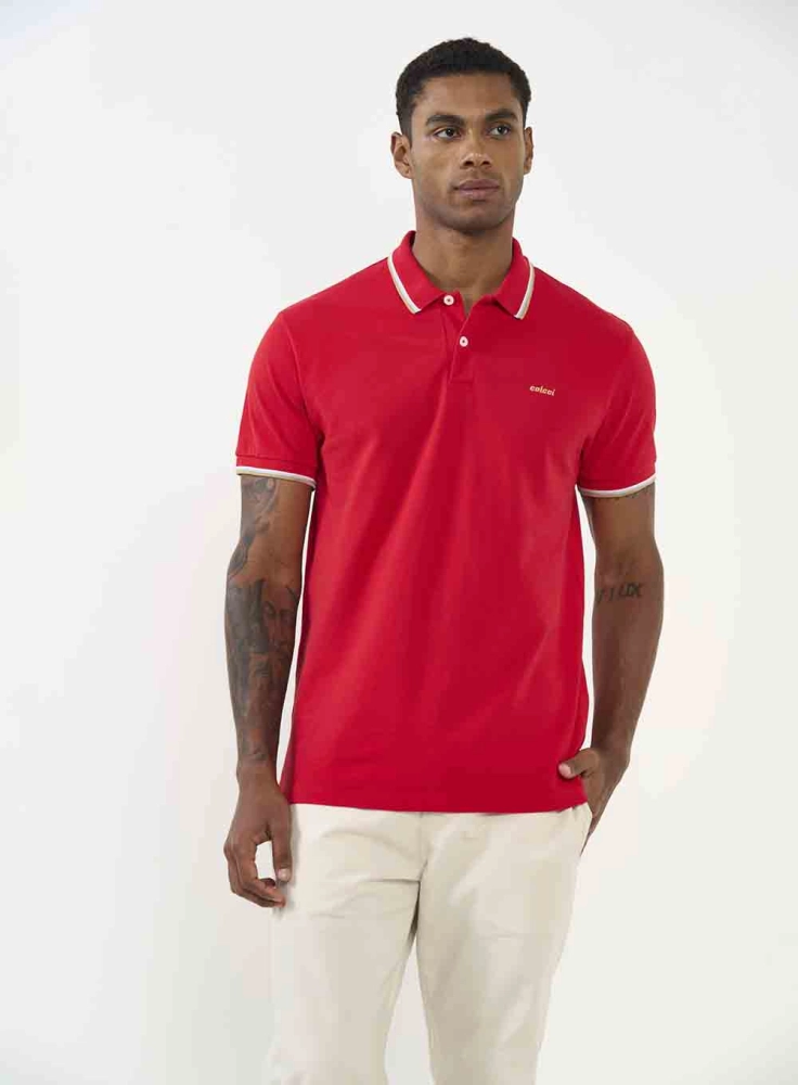 Polo Masculina 3 Listras colcci